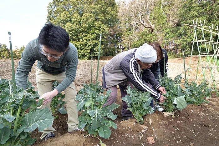 森田療法 三島森田病院